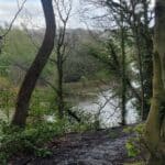 View of the River Weaver from a height at Marshall Arms