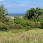 Walks near Delamere Forest.